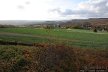 Настоящее Шампанское и немного деталей.