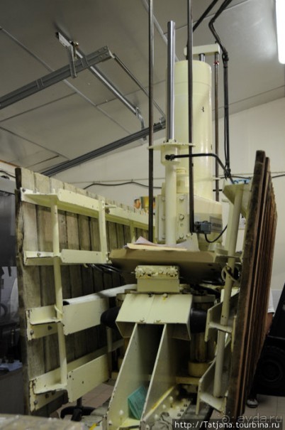 Настоящее Шампанское и немного деталей.