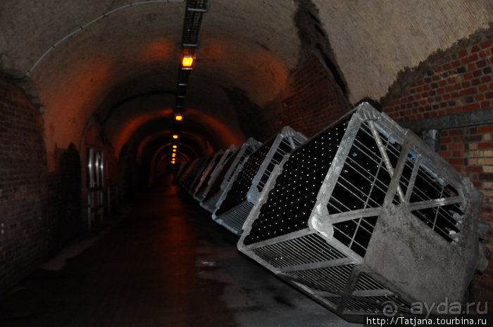 Настоящее Шампанское и немного деталей.