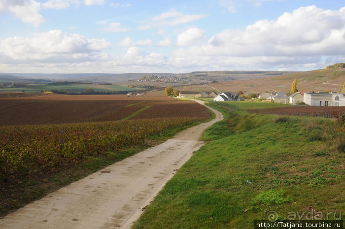 Настоящее Шампанское и немного деталей.
