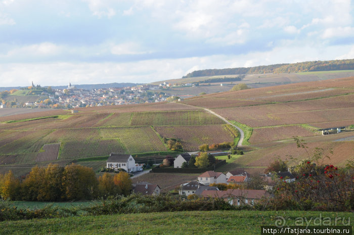 Настоящее Шампанское и немного деталей.