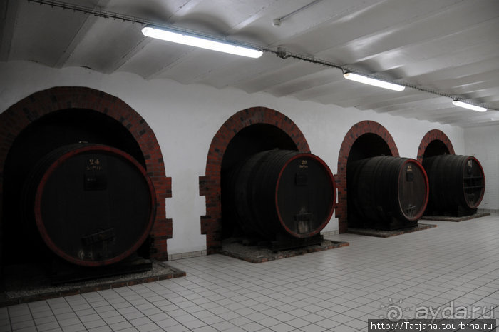 Настоящее Шампанское и немного деталей.