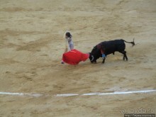 "На бой быков смотреть пошли с тобой однажды этим ...."