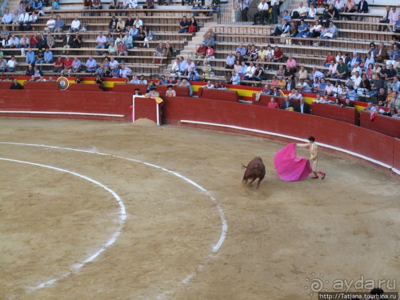 "На бой быков смотреть пошли с тобой однажды этим ...."