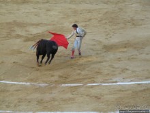 "На бой быков смотреть пошли с тобой однажды этим ...."