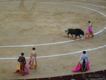 "На бой быков смотреть пошли с тобой однажды этим ...."