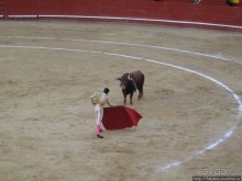 "На бой быков смотреть пошли с тобой однажды этим ...."