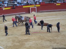 "На бой быков смотреть пошли с тобой однажды этим ...."