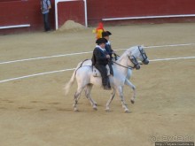 "На бой быков смотреть пошли с тобой однажды этим ...."