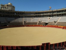 "На бой быков смотреть пошли с тобой однажды этим ...."