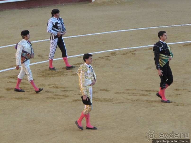 "На бой быков смотреть пошли с тобой однажды этим ...."