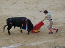 "На бой быков смотреть пошли с тобой однажды этим ...."