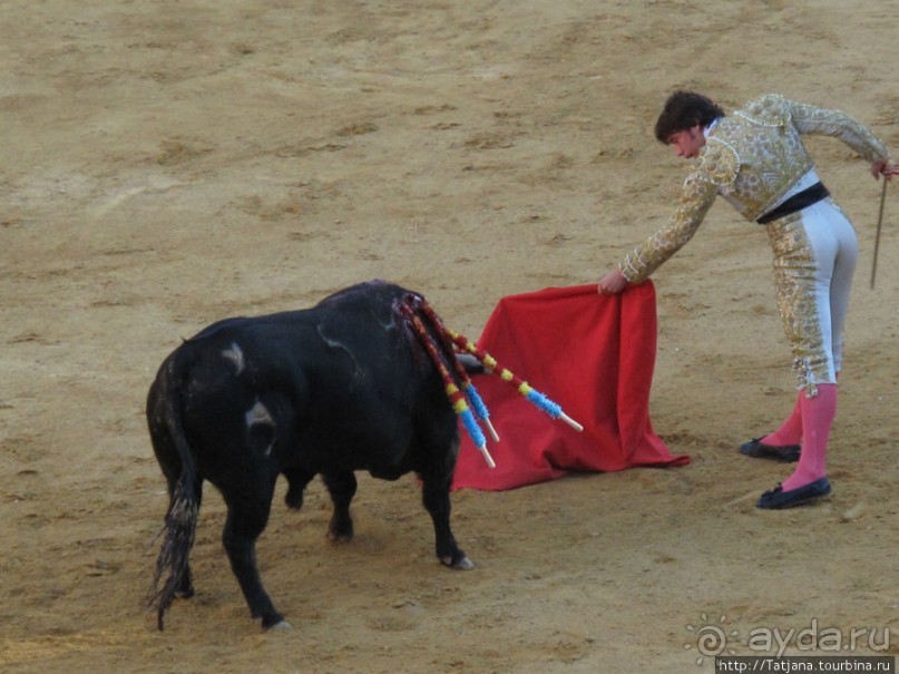 "На бой быков смотреть пошли с тобой однажды этим ...."