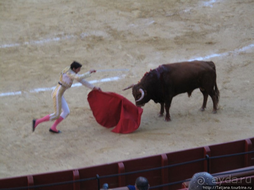 "На бой быков смотреть пошли с тобой однажды этим ...."
