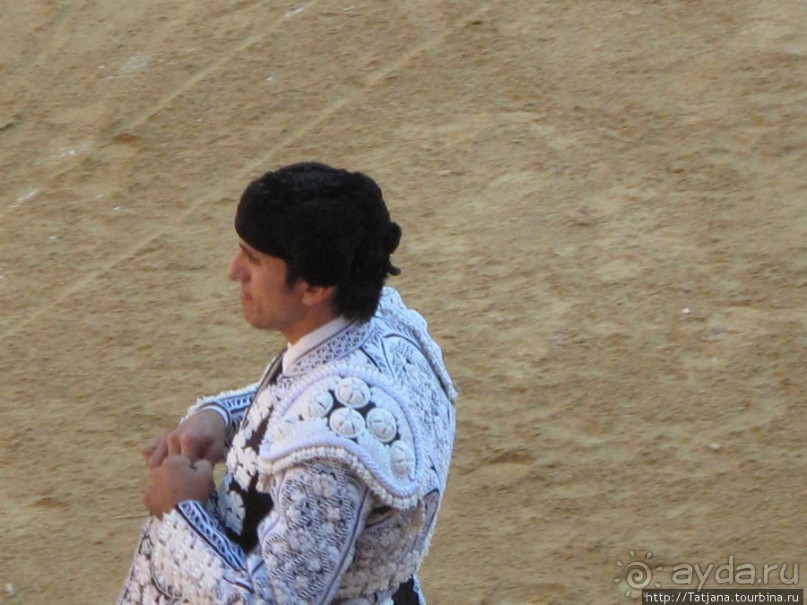 "На бой быков смотреть пошли с тобой однажды этим ...."