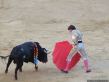 "На бой быков смотреть пошли с тобой однажды этим ...."