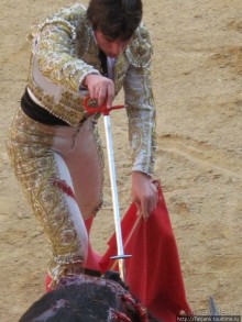 "На бой быков смотреть пошли с тобой однажды этим ...."