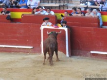 "На бой быков смотреть пошли с тобой однажды этим ...."