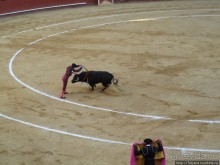 "На бой быков смотреть пошли с тобой однажды этим ...."