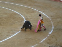 "На бой быков смотреть пошли с тобой однажды этим ...."