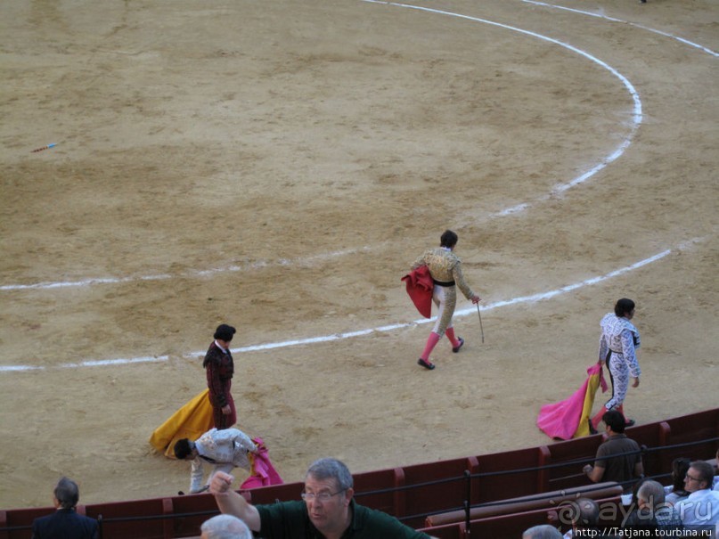 "На бой быков смотреть пошли с тобой однажды этим ...."