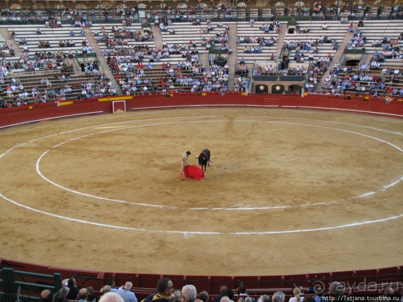 "На бой быков смотреть пошли с тобой однажды этим ...."