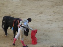 "На бой быков смотреть пошли с тобой однажды этим ...."