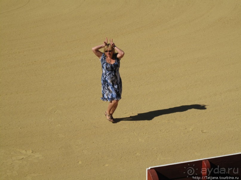 "На бой быков смотреть пошли с тобой однажды этим ...."