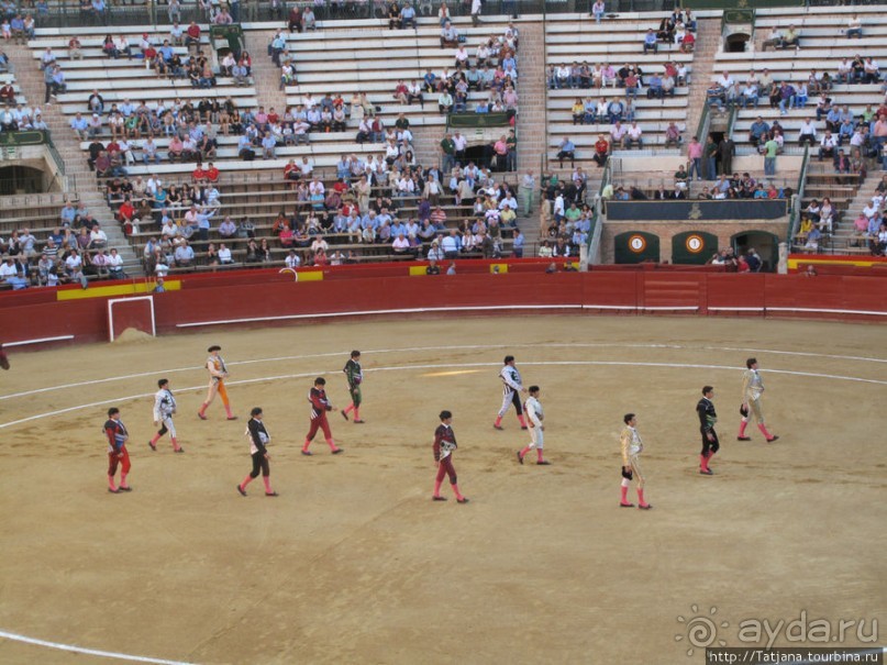 "На бой быков смотреть пошли с тобой однажды этим ...."