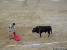 "На бой быков смотреть пошли с тобой однажды этим ...."