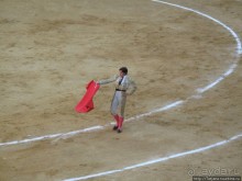 "На бой быков смотреть пошли с тобой однажды этим ...."