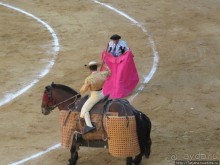 "На бой быков смотреть пошли с тобой однажды этим ...."