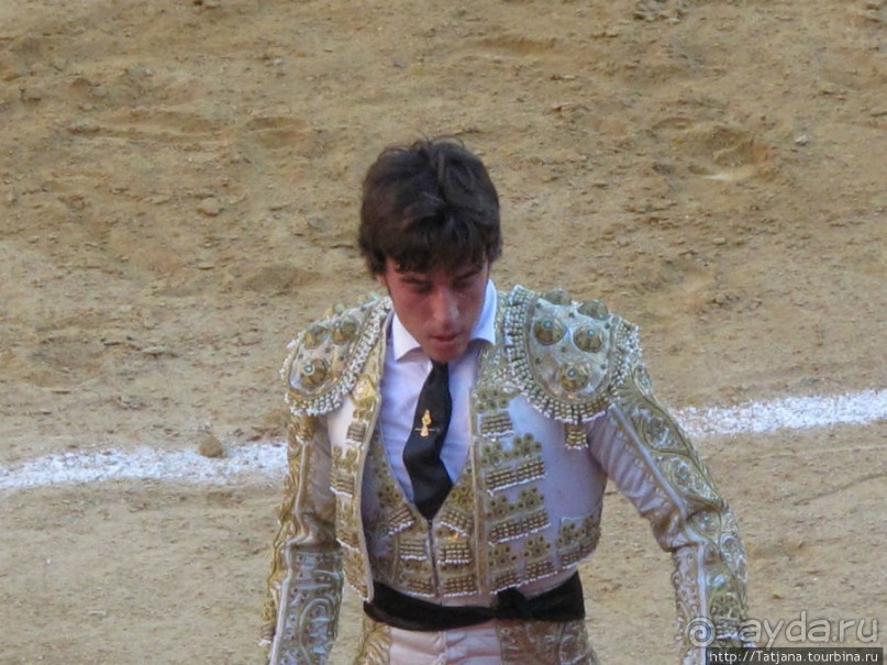 "На бой быков смотреть пошли с тобой однажды этим ...."