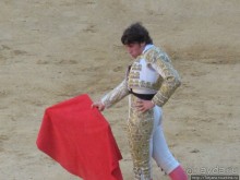 "На бой быков смотреть пошли с тобой однажды этим ...."