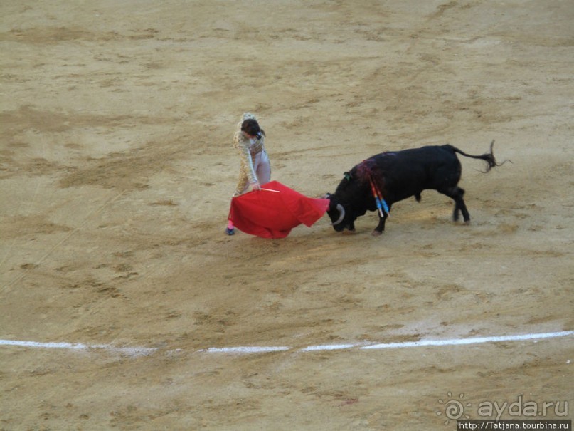 "На бой быков смотреть пошли с тобой однажды этим ...."