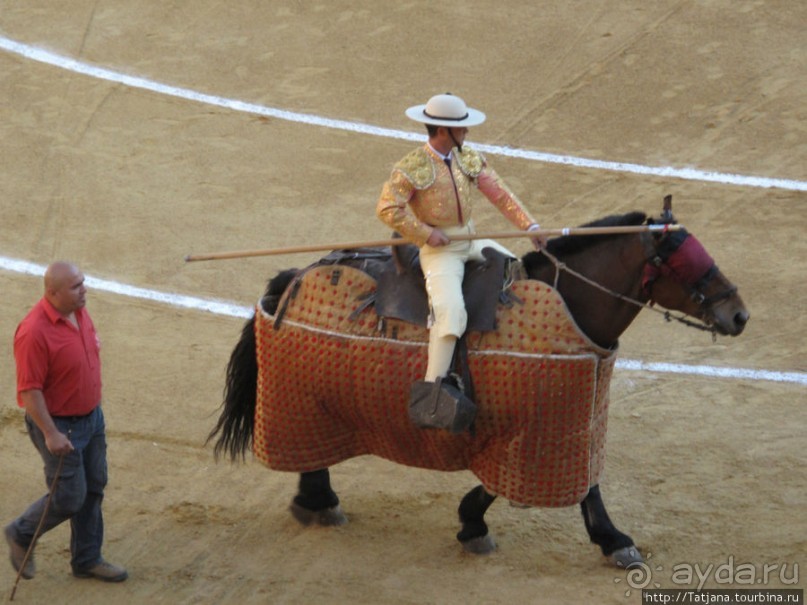 "На бой быков смотреть пошли с тобой однажды этим ...."