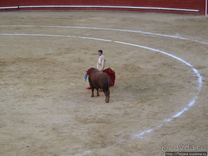 "На бой быков смотреть пошли с тобой однажды этим ...."