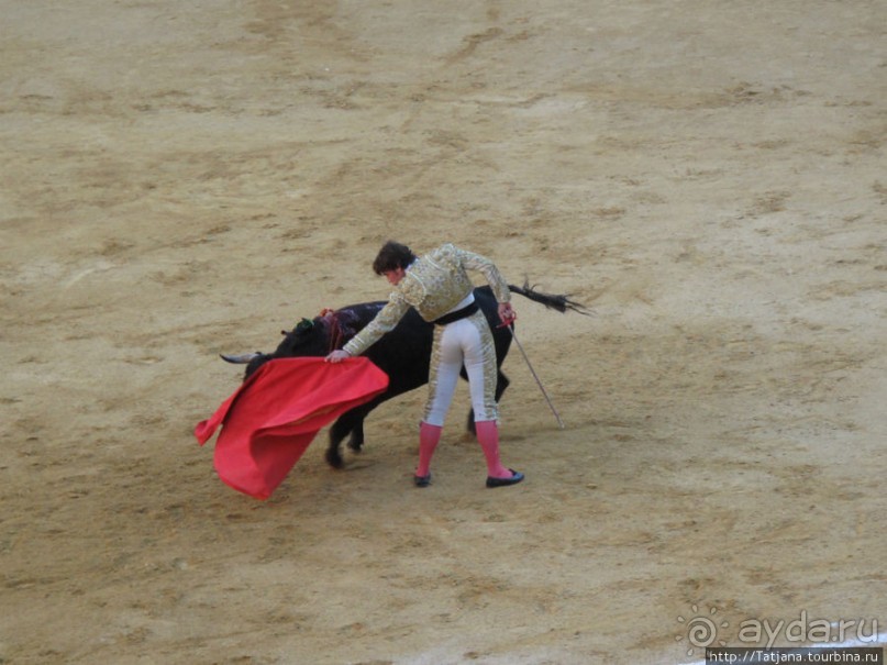 "На бой быков смотреть пошли с тобой однажды этим ...."