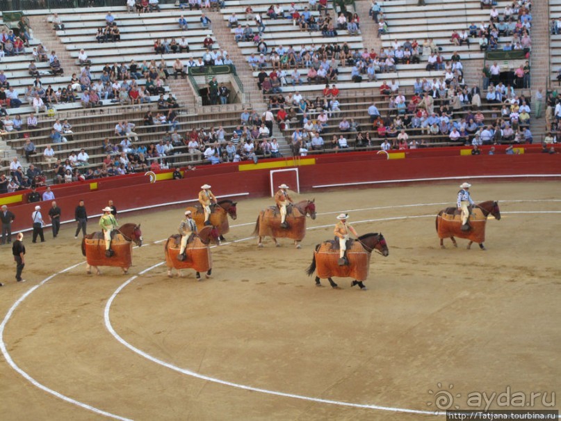 "На бой быков смотреть пошли с тобой однажды этим ...."