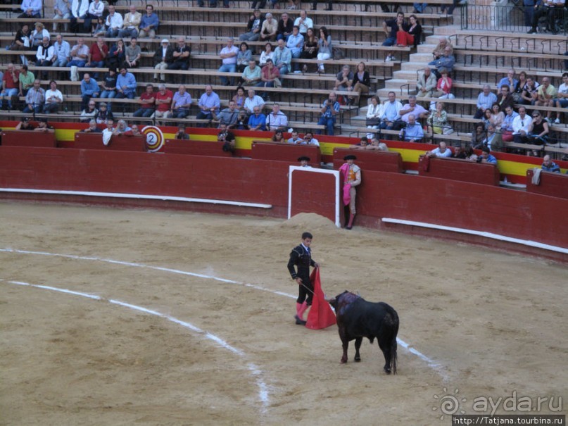 "На бой быков смотреть пошли с тобой однажды этим ...."