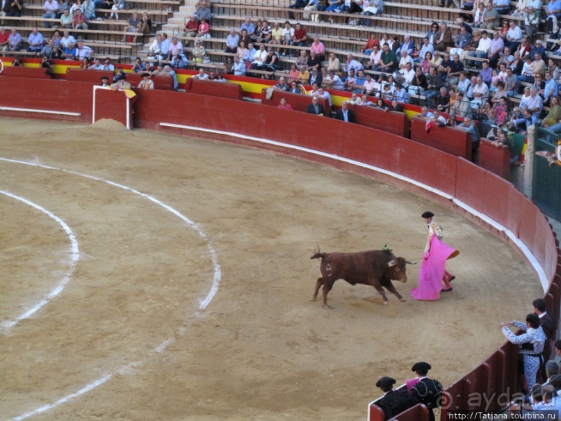 "На бой быков смотреть пошли с тобой однажды этим ...."