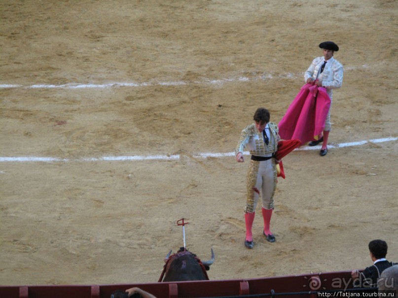"На бой быков смотреть пошли с тобой однажды этим ...."