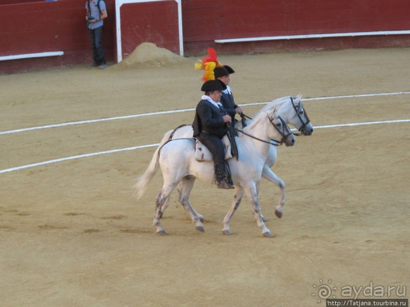 "На бой быков смотреть пошли с тобой однажды этим ...."