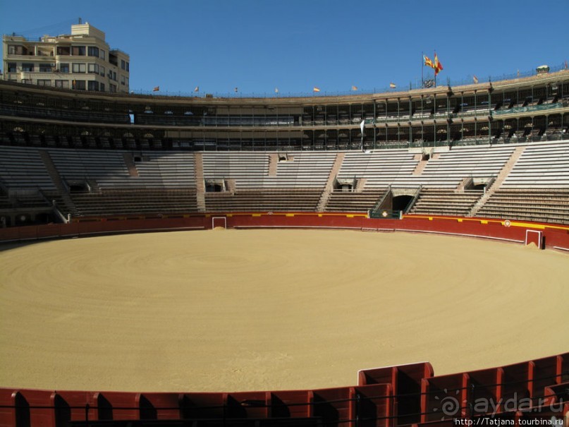 "На бой быков смотреть пошли с тобой однажды этим ...."