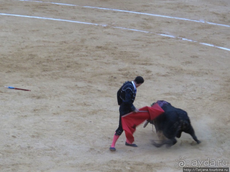 "На бой быков смотреть пошли с тобой однажды этим ...."