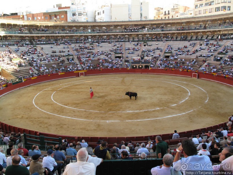 "На бой быков смотреть пошли с тобой однажды этим ...."