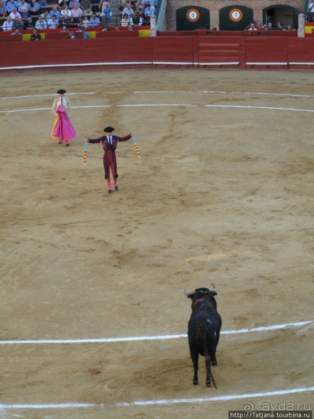 "На бой быков смотреть пошли с тобой однажды этим ...."