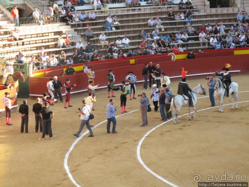 "На бой быков смотреть пошли с тобой однажды этим ...."