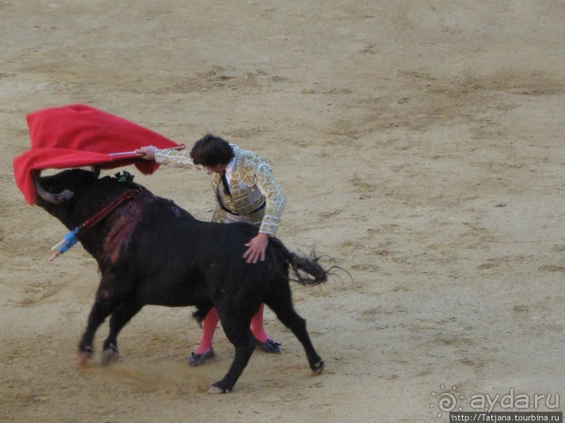 "На бой быков смотреть пошли с тобой однажды этим ...."