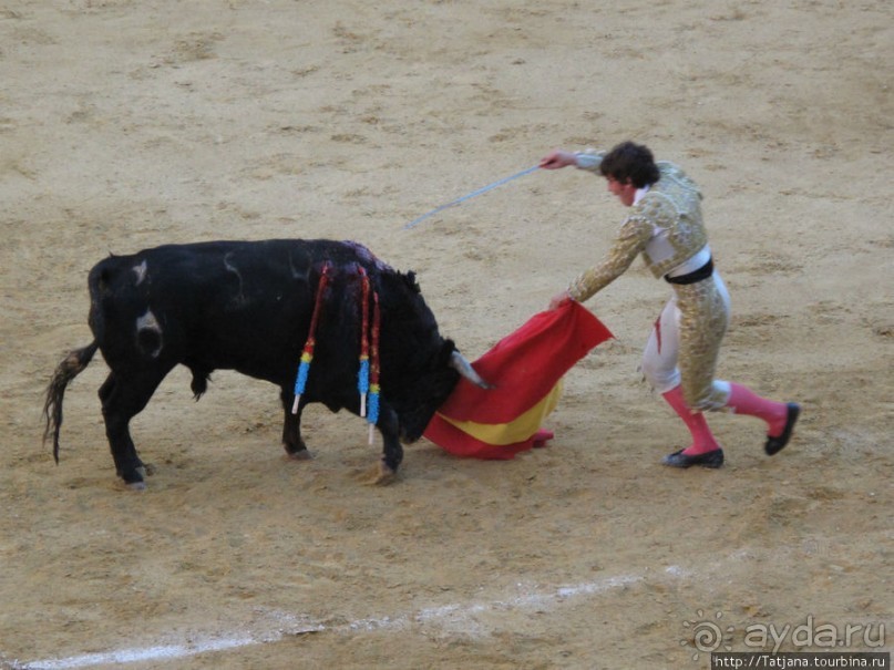 "На бой быков смотреть пошли с тобой однажды этим ...."